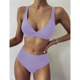 European And American Swimwear Women'S Ribbed High-Waisted-Purple-1