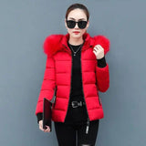 Ladies large fur collar padded down jacket-8